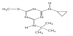 Cybutryne (Fintryn) 
